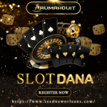 Slot Dana  httpswww.seedneworleans.com.png
