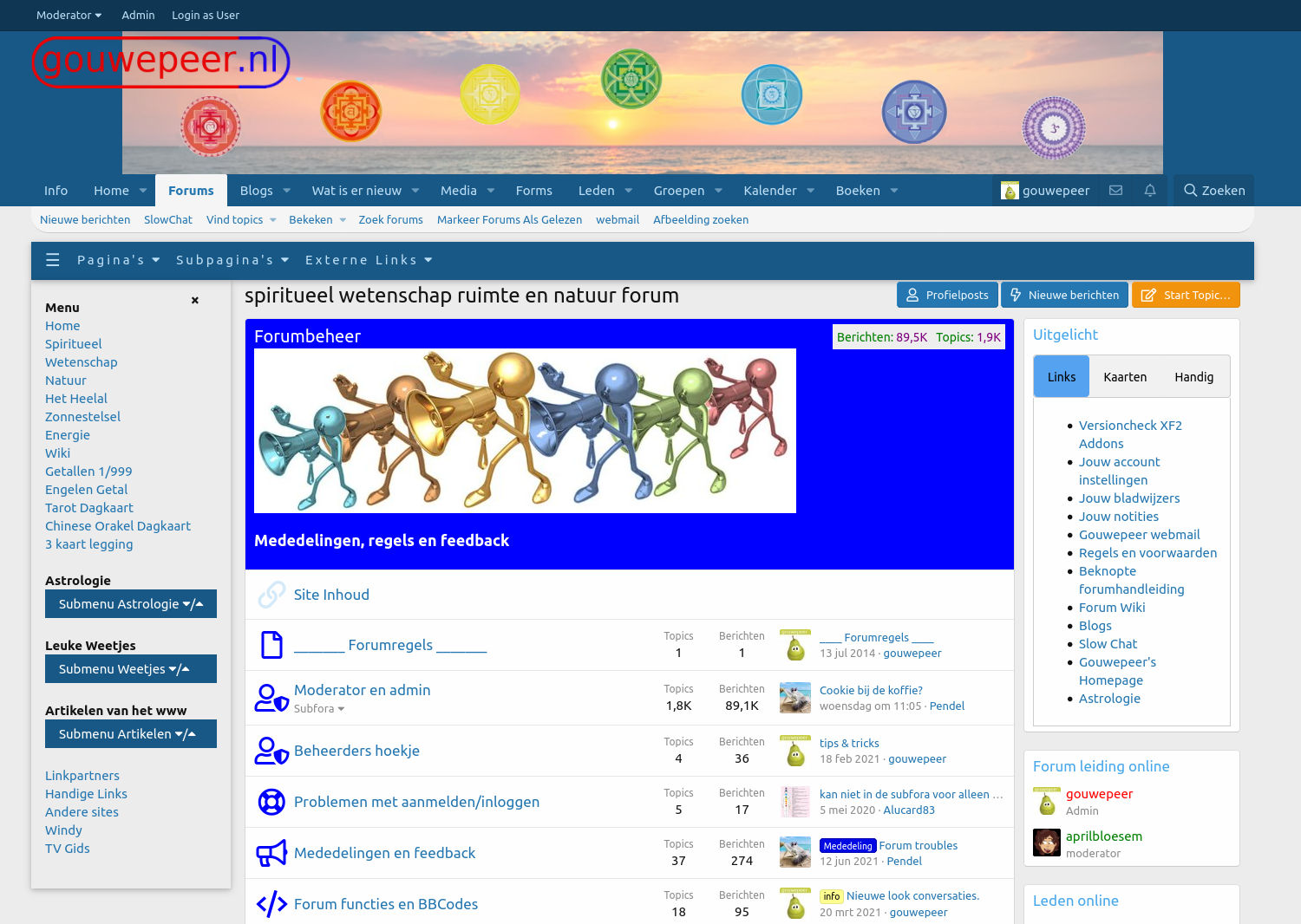 Screenshot showing https://www.gouwepeer.nl